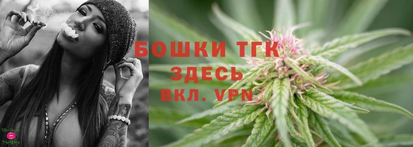 мяу мяу мука Белокуриха