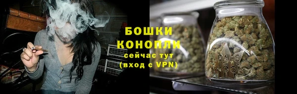 мяу мяу мука Белокуриха